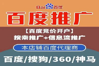 揭秘SEM搜索引擎优化成功案例，助您优化策略